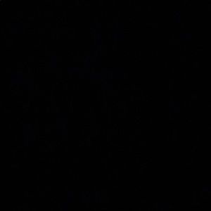 Meet your Posher, Bailey